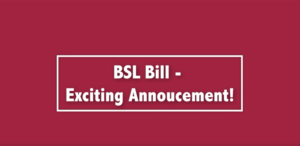 British Sign Language