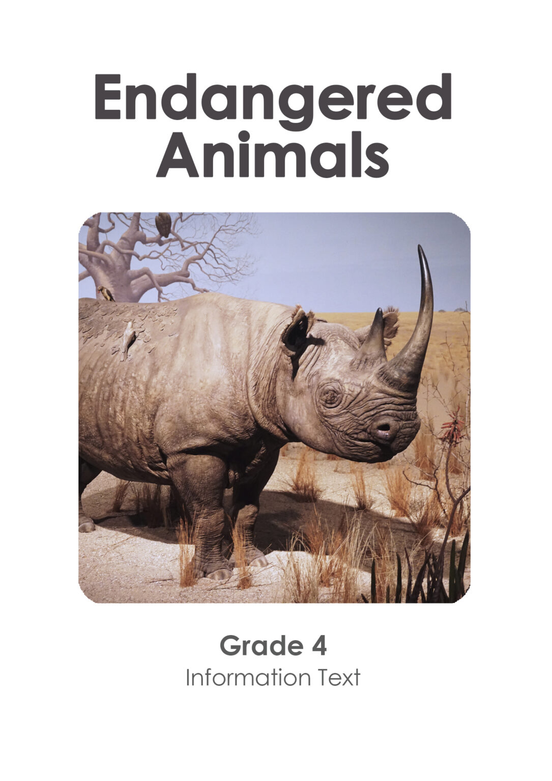 Gr 4 - Endangered animals (Information Text) copy