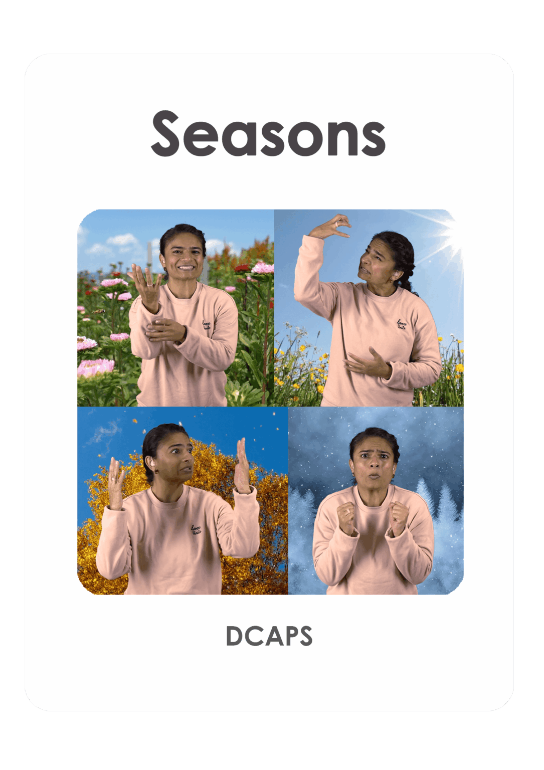 DCAPS-Seasons-(frame)